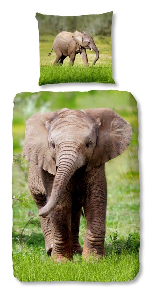 Traumschloss Renforcé Kinder Bettwäsche - Elefant